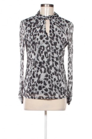 Dámska blúza Dorothy Perkins, Veľkosť M, Farba Viacfarebná, Cena  1,95 €