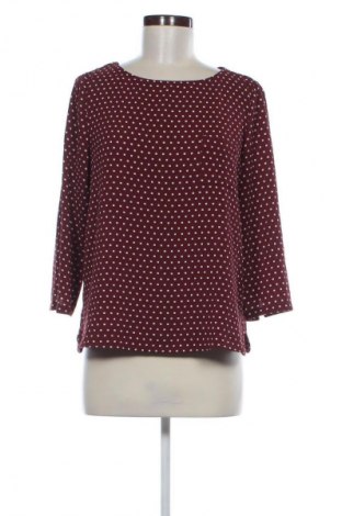 Damen Shirt Mango, Größe S, Farbe Mehrfarbig, Preis € 1,99