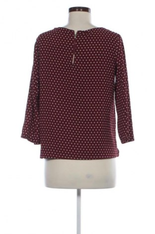 Damen Shirt Mango, Größe S, Farbe Mehrfarbig, Preis € 1,99