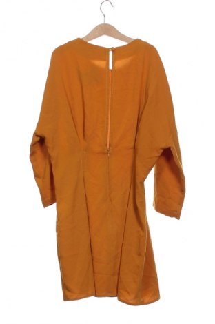 Kleid Topshop, Größe XS, Farbe Braun, Preis 3,99 €