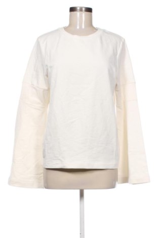 Damen Shirt Find., Größe L, Farbe Ecru, Preis 7,00 €, #136940656