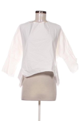 Damen Shirt Unbranded, Größe XL, Farbe Weiß, Preis 9,14 €, #136976031