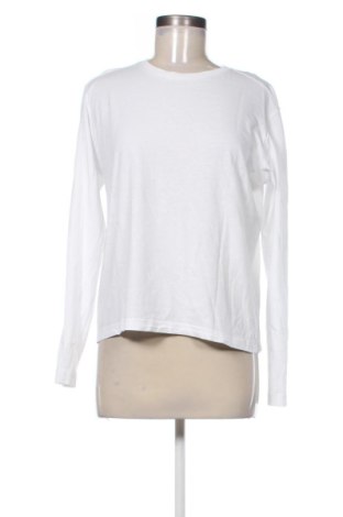Damen Shirt Massimo Dutti, Größe L, Farbe Weiß, Preis € 32,36, #136996936