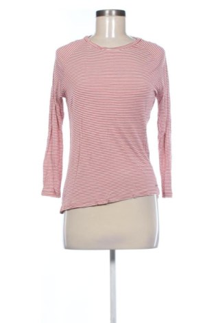Damen Shirt Zabaione, Größe L, Farbe Mehrfarbig, Preis 5,91 €, #136999627