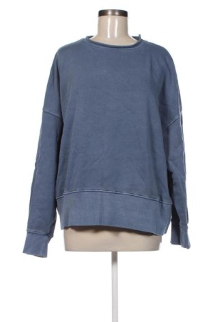 Damen Shirt Next, Größe L, Farbe Blau, Preis 39,99 €, #136989990