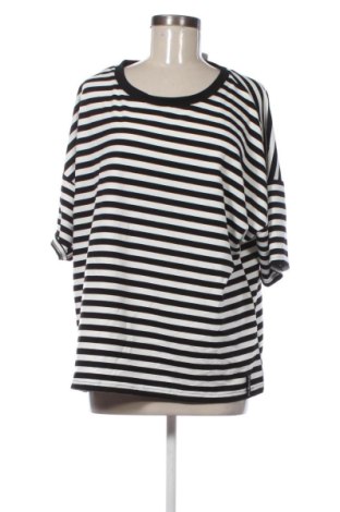 Damen Shirt Laura Torelli, Größe XXL, Farbe Mehrfarbig, Preis € 13,99, #136971814