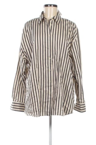 Damenbluse Zara, Größe XL, Farbe Mehrfarbig, Preis 17,65 €, #136945870