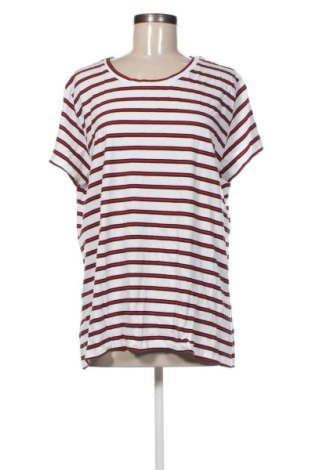 Damen T-Shirt Colloseum, Größe XXL, Farbe Mehrfarbig, Preis 8,99 €, #136982176