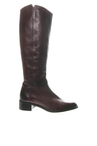 Damskie kozaki Unbranded, Rozmiar 38, Kolor Brązowy, Cena 264,00 zł, #136992974