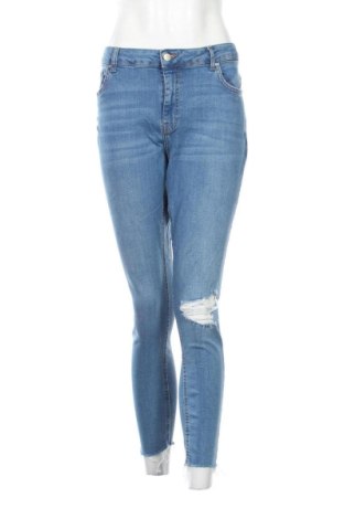 Damen Jeans Denim Co., Größe L, Farbe Blau, Preis 11,20 €, #136968412