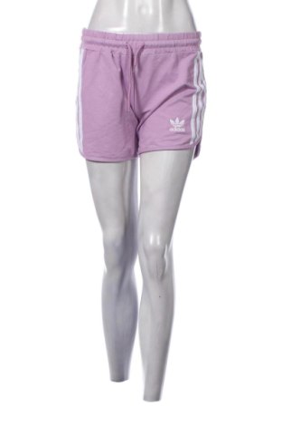 Damen Shorts Adidas, Größe L, Farbe Lila, Preis 14,99 €, #136949724