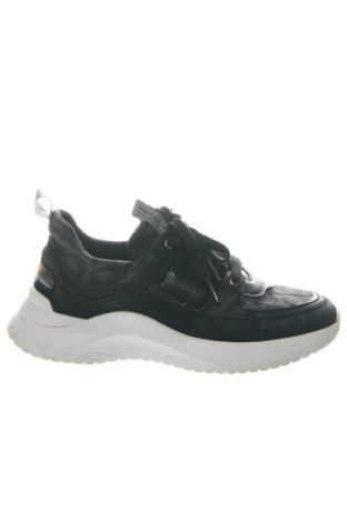 Damenschuhe Calvin Klein, Größe 38, Farbe Schwarz, Preis 60,00 €, #137016665