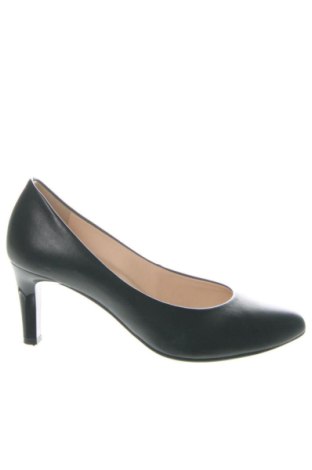 Damenschuhe Hogl, Größe 37, Farbe Schwarz, Preis € 52,00, #137015925