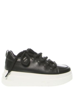 Damenschuhe Point, Größe 37, Farbe Schwarz, Preis € 47,00, #136956822