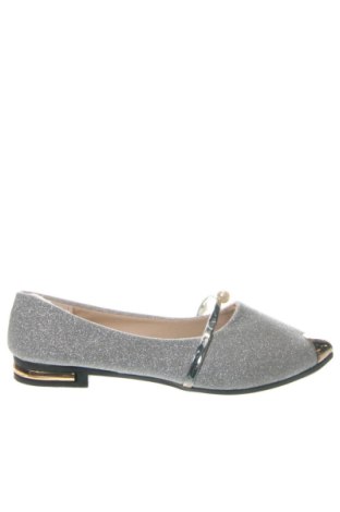 Damenschuhe Unbranded, Größe 40, Farbe Silber, Preis € 32,00, #136905432