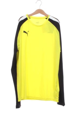 Kinder Shirt PUMA, Größe 15-18y/ 170-176 cm, Farbe Mehrfarbig, Preis € 25,00, #136962771