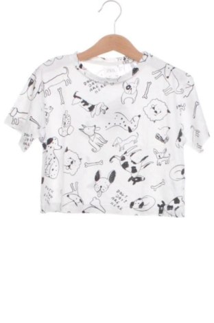 Kinder T-Shirt Zara, Größe 5-6y/ 116-122 cm, Farbe Mehrfarbig, Preis 6,00 €, #137007890