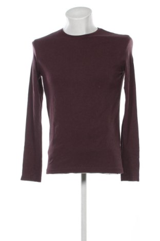 Herren Shirt H&M, Größe S, Farbe Lila, Preis € 8,00, #136975133