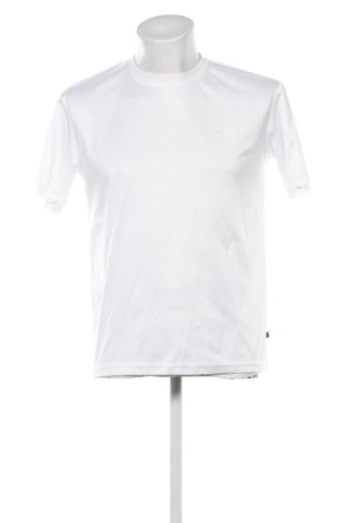 Herren T-Shirt Highroad, Größe L, Farbe Weiß, Preis € 8,99, #136952268