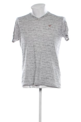 Herren T-Shirt Hollister, Größe L, Farbe Grau, Preis € 11,99, #136954624