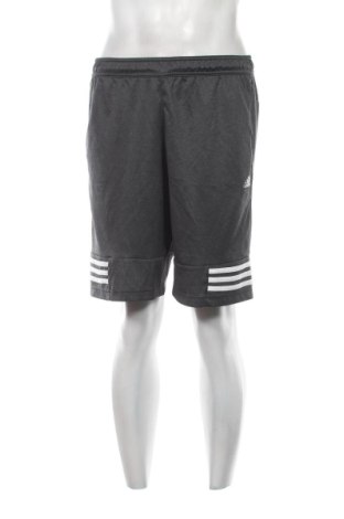 Ανδρικό κοντό παντελόνι Adidas, Μέγεθος M, Χρώμα Γκρί, Τιμή 20,99 €, #136938777
