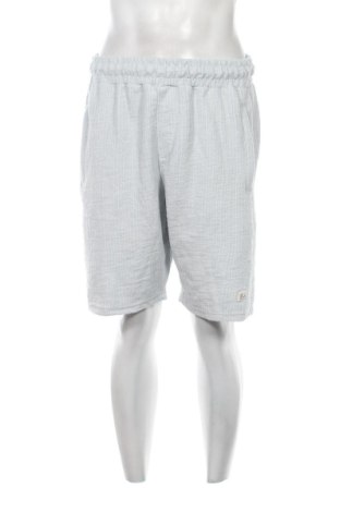 Herren Shorts Unbranded, Größe L, Farbe Blau, Preis 23,99 €, #136944126