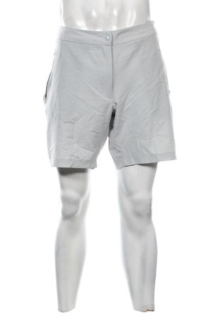Herren Shorts Unbranded, Größe L, Farbe Grau, Preis 14,99 €, #137009381
