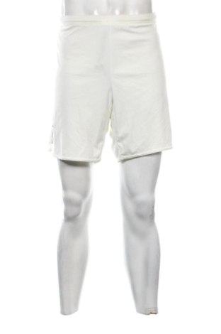 Herren Shorts Adidas, Größe XL, Farbe Ecru, Preis 18,99 €, #137010673