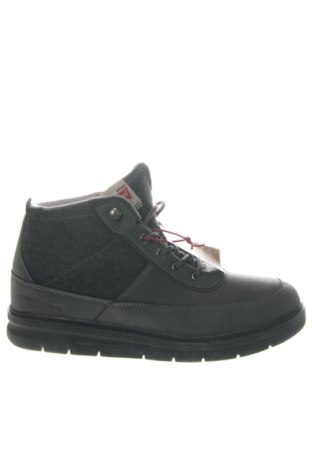 Herrenschuhe Carrera Jeans, Größe 45, Farbe Grau, Preis € 40,26, #136981910