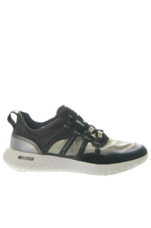 Herrenschuhe Cole Haan, Größe 40, Farbe Mehrfarbig, Preis € 45,00, #136993219