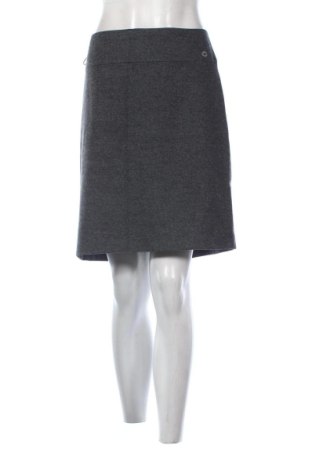 Sukně Lissa Tossa, Velikost XL, Barva Šedá, Cena  170,00 Kč, #136997153