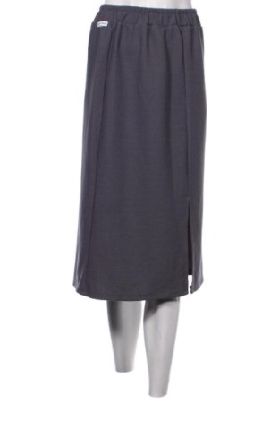 Φούστα Unbranded, Μέγεθος S, Χρώμα Γκρί, Τιμή 9,33 €, #136999491
