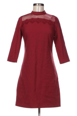 Kleid Orsay, Größe XS, Farbe Rot, Preis 16,99 €, #136971019