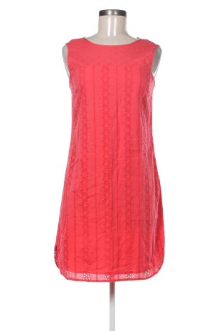 Φόρεμα Dorothy Perkins, Μέγεθος M, Χρώμα Ρόζ , Τιμή 16,09 €, #136948260