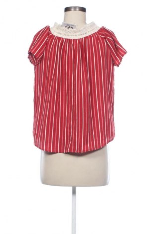 Damen Shirt Colloseum, Größe M, Farbe Mehrfarbig, Preis € 1,99