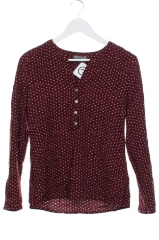 Γυναικεία μπλούζα Montego, Μέγεθος XS, Χρώμα Πολύχρωμο, Τιμή 3,99 €