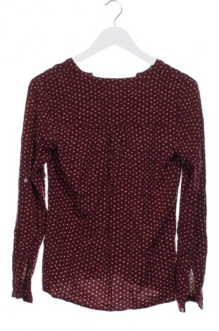 Γυναικεία μπλούζα Montego, Μέγεθος XS, Χρώμα Πολύχρωμο, Τιμή 3,99 €