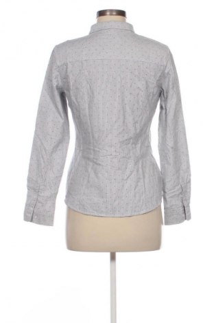 Damska koszula Montego, Rozmiar S, Kolor Kolorowy, Cena 9,99 zł