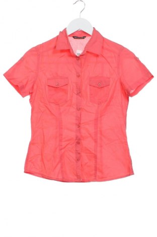 Damenbluse Terranova, Größe XS, Farbe Rosa, Preis € 1,99