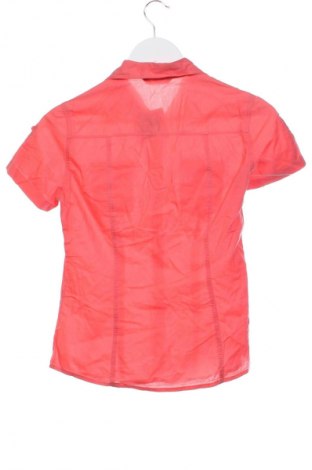 Damenbluse Terranova, Größe XS, Farbe Rosa, Preis € 1,99