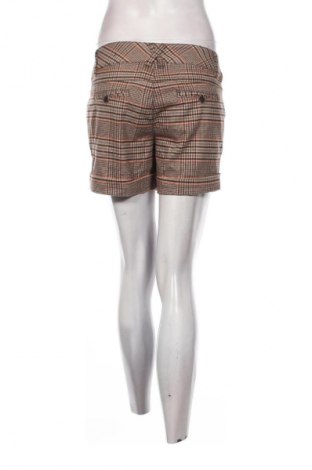 Дамски къс панталон Colours Of The World, Размер M, Цвят Многоцветен, Цена 2,04 €