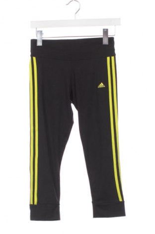 Damen Leggings Adidas, Größe XS, Farbe Schwarz, Preis 26,99 €