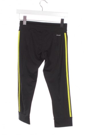 Damen Leggings Adidas, Größe XS, Farbe Schwarz, Preis 26,99 €