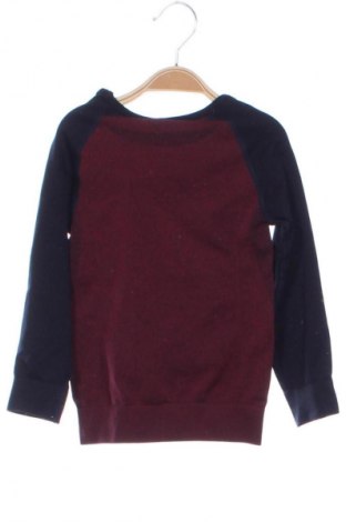 Kinder Shirt Lupilu, Größe 2-3y/ 98-104 cm, Farbe Mehrfarbig, Preis 3,99 €