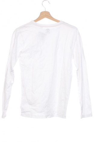 Dziecięca bluzka Timberland, Rozmiar 15-18y/ 170-176 cm, Kolor Biały, Cena 121,99 zł