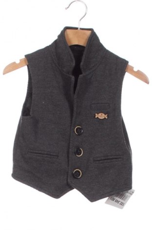 Παιδικό γιλέκο Unbranded, Μέγεθος 2-3y/ 98-104 εκ., Χρώμα Γκρί, Τιμή 1,99 €