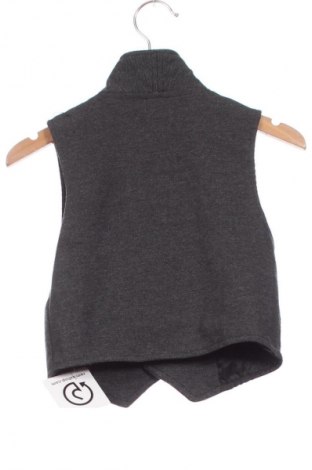 Παιδικό γιλέκο Unbranded, Μέγεθος 2-3y/ 98-104 εκ., Χρώμα Γκρί, Τιμή 1,99 €