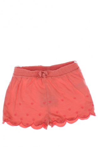 Dziecięce szorty Baby Club, Rozmiar 9-12m/ 74-80 cm, Kolor Różowy, Cena 6,99 zł