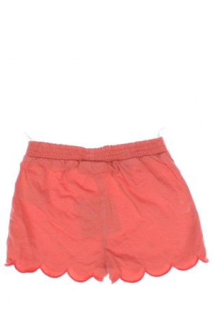 Dziecięce szorty Baby Club, Rozmiar 9-12m/ 74-80 cm, Kolor Różowy, Cena 6,99 zł