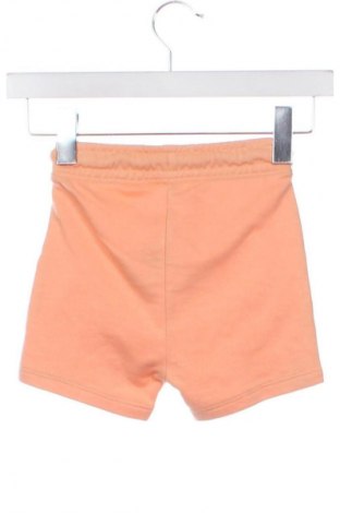 Dziecięce szorty George, Rozmiar 2-3m/ 56-62 cm, Kolor Pomarańczowy, Cena 6,99 zł